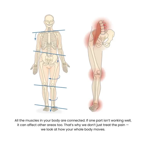 Human kinetic chain Human kinetic chain